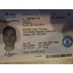 Ontario Driver Licence