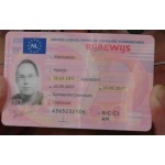 driver license rijbewijs
