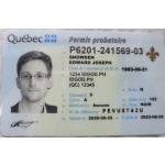 Ontario Driver Licence