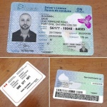 Ontario Driver Licence