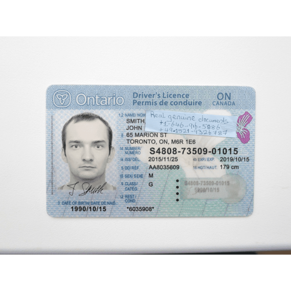 Ontario Driver Licence