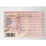 driver license rijbewijs