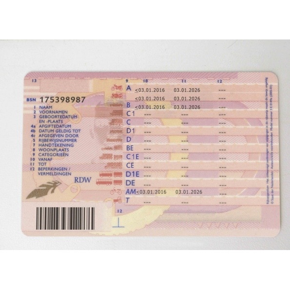 Netherlands Drivers Licence