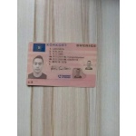 Swedish Driver’s License