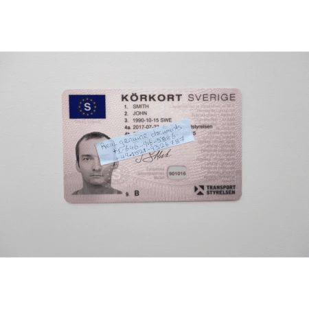 Swedish Driver's License
