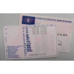 driver license spain