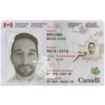 Buy The Canadian Permanent Residence Permit