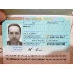 Ireland Passport