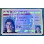 Driver license new jersey