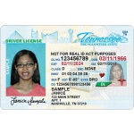 Buy Tennessee Driver License and ID Card