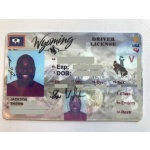 Buy Wyoming Driver License and ID Cards