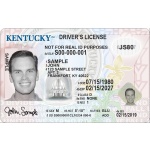 Buy Kentucky Driver License and ID Card