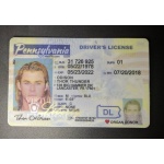 Driver license Pennsylvania