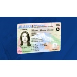 Driver license alaska (2)