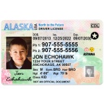 Driver-license-alaska