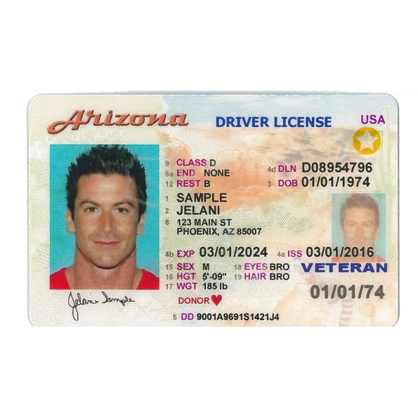 Arizona Driver License