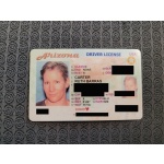 Arizona Driver License