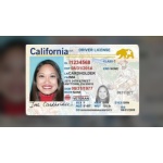 Driver license california