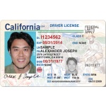 California Driver License