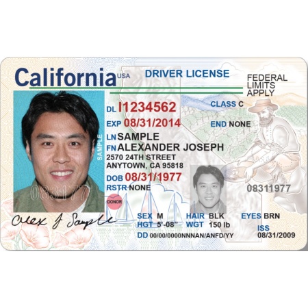 California Driver License