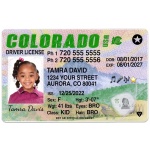 Driver license colarado