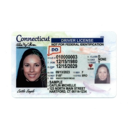 Connecticut Driver License