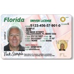 Driver license florida