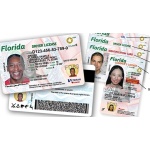 Driver license florida