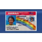 Buy Hawaii Driver License and ID Card