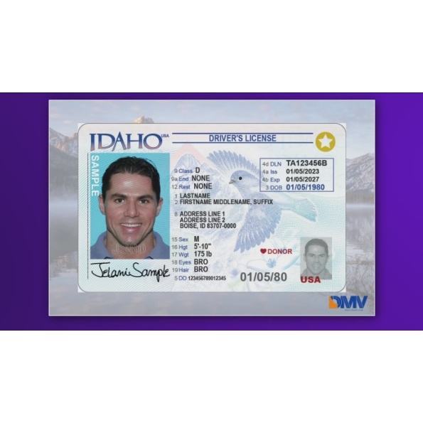 Buy Idaho Driver License and ID Card