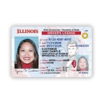 Buy Illinois Driver License and ID Card