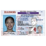 Driver license illinois