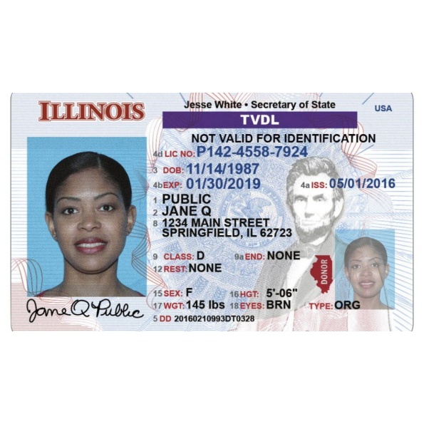 Buy Illinois Driver License and ID Card