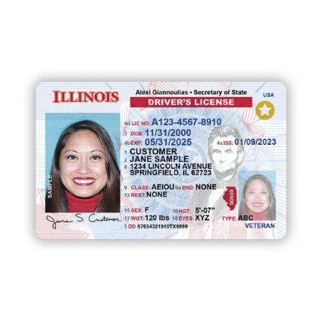 Buy Illinois Driver License and ID Card