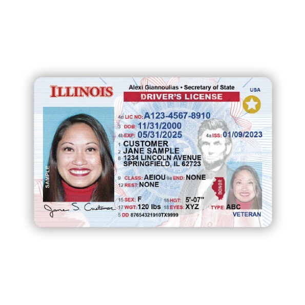 Buy Illinois Driver License and ID Card