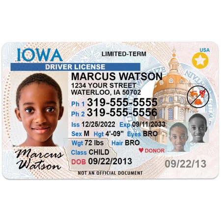 Buy Iowa Driver License and ID Card