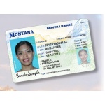 Montana Driver License