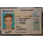 Driver license montana