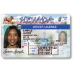 Driver license nevada