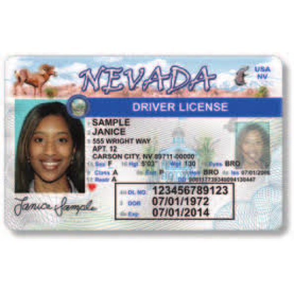 Nevada Driver License