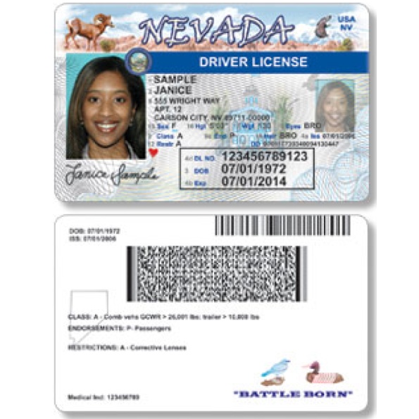 Nevada Driver License