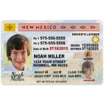 Driver license new mexico