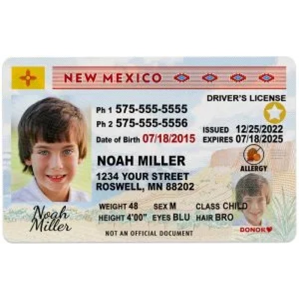 Buy New Mexico Driver License and ID Card