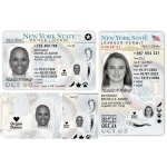 Driver license new york