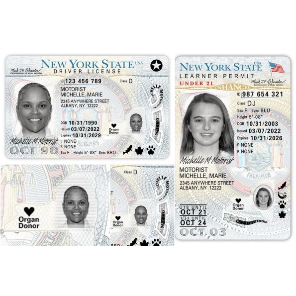 New York Driver License