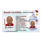 Buy South Carolina Driver License and ID Card