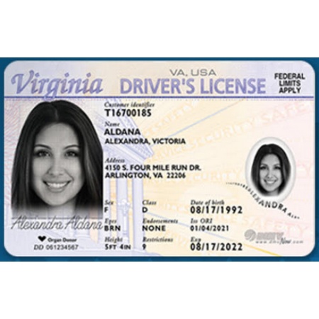 Buy Virginia Driver License and ID Card