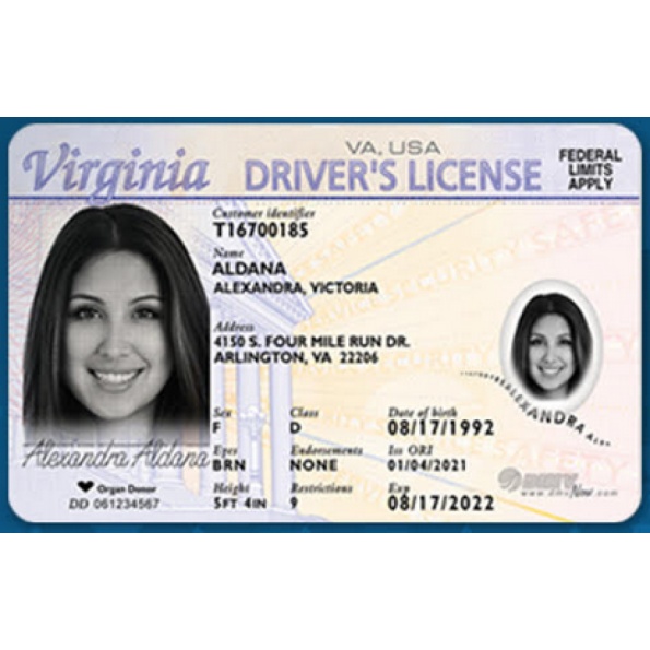 Buy Virginia Driver License and ID Card