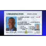 Driver license washington