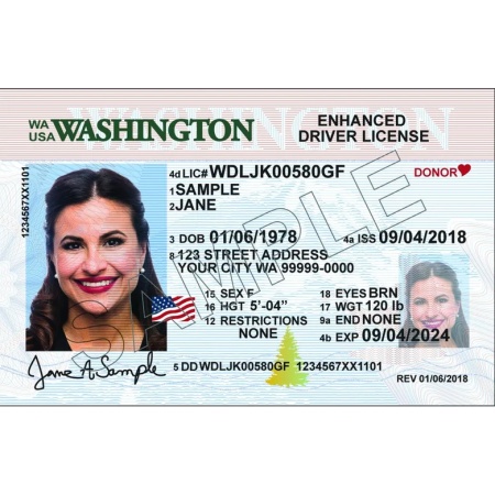 Buy Washington Driver License and ID Card